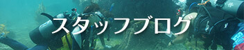 ダイビングスクールラナ札幌スタッフブログ